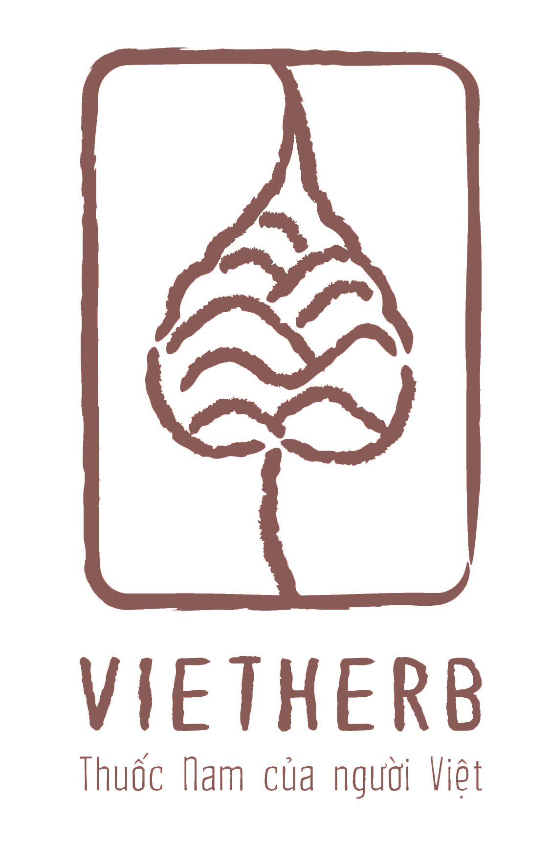vietherb.vn